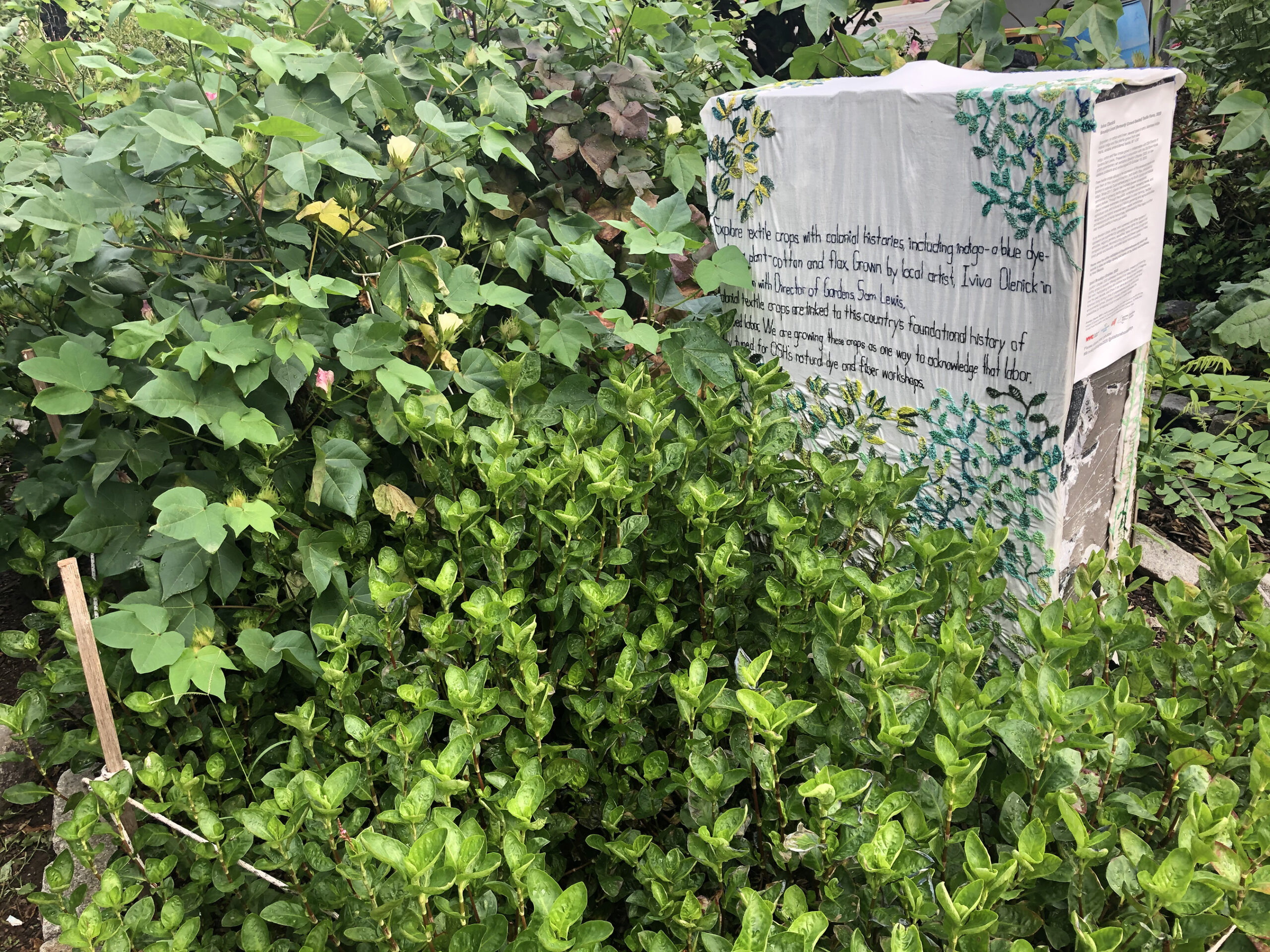 Brooklyn Utopias: 2020