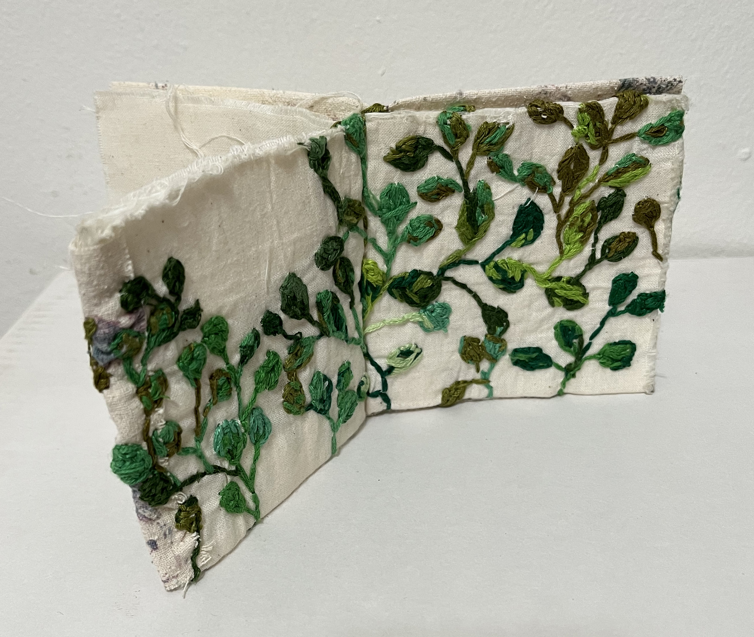 Botanical Bodies book