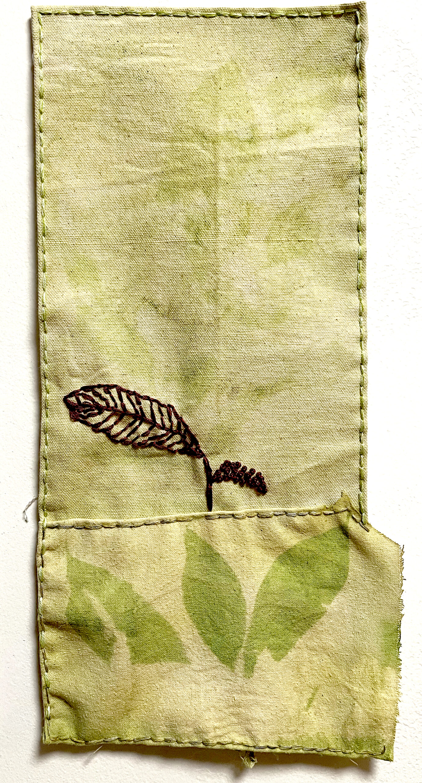 Anthotype Collage