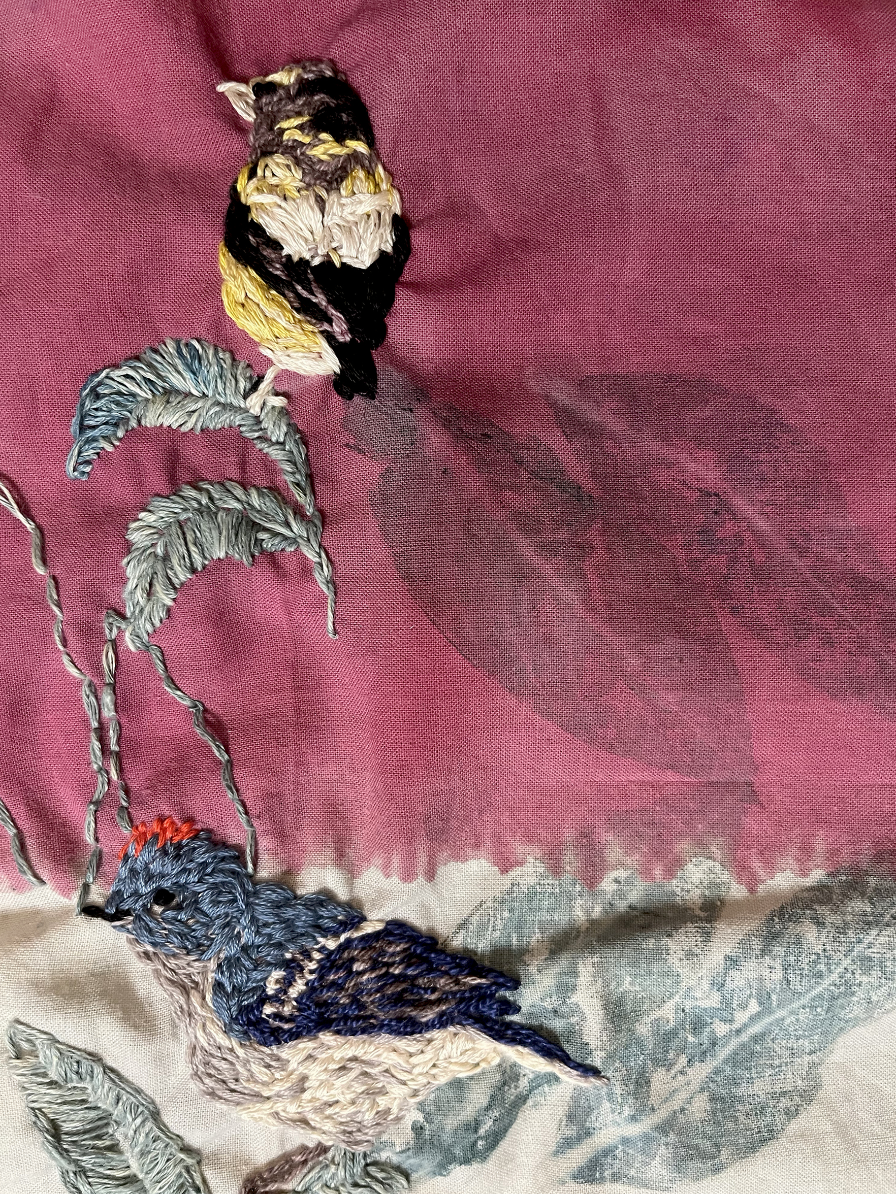 Ruby crowned kinglet; evening grosbeak