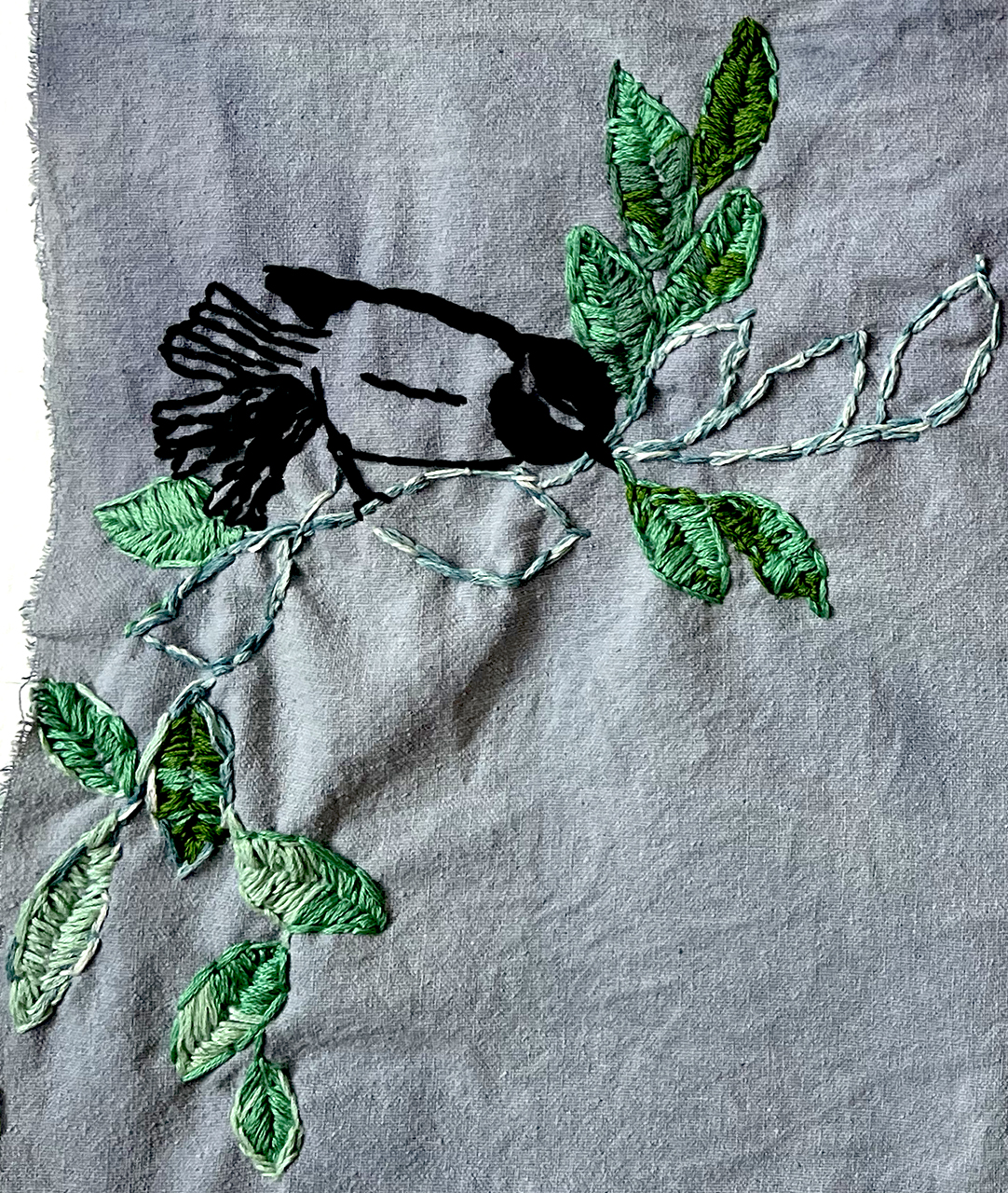 Black-capped chickadee; female and male varied thrushes