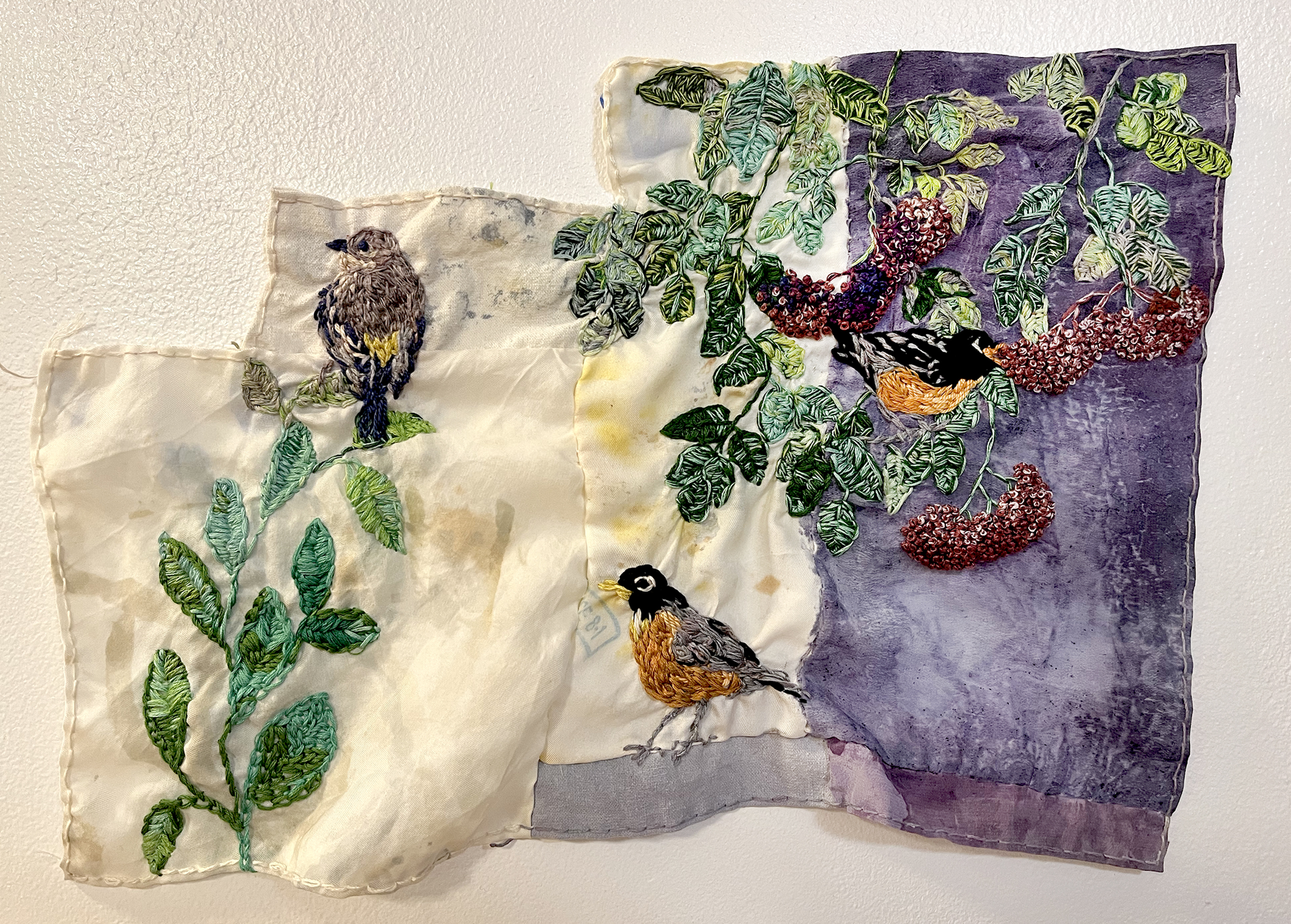 Yellow-rumped warbler and two robins