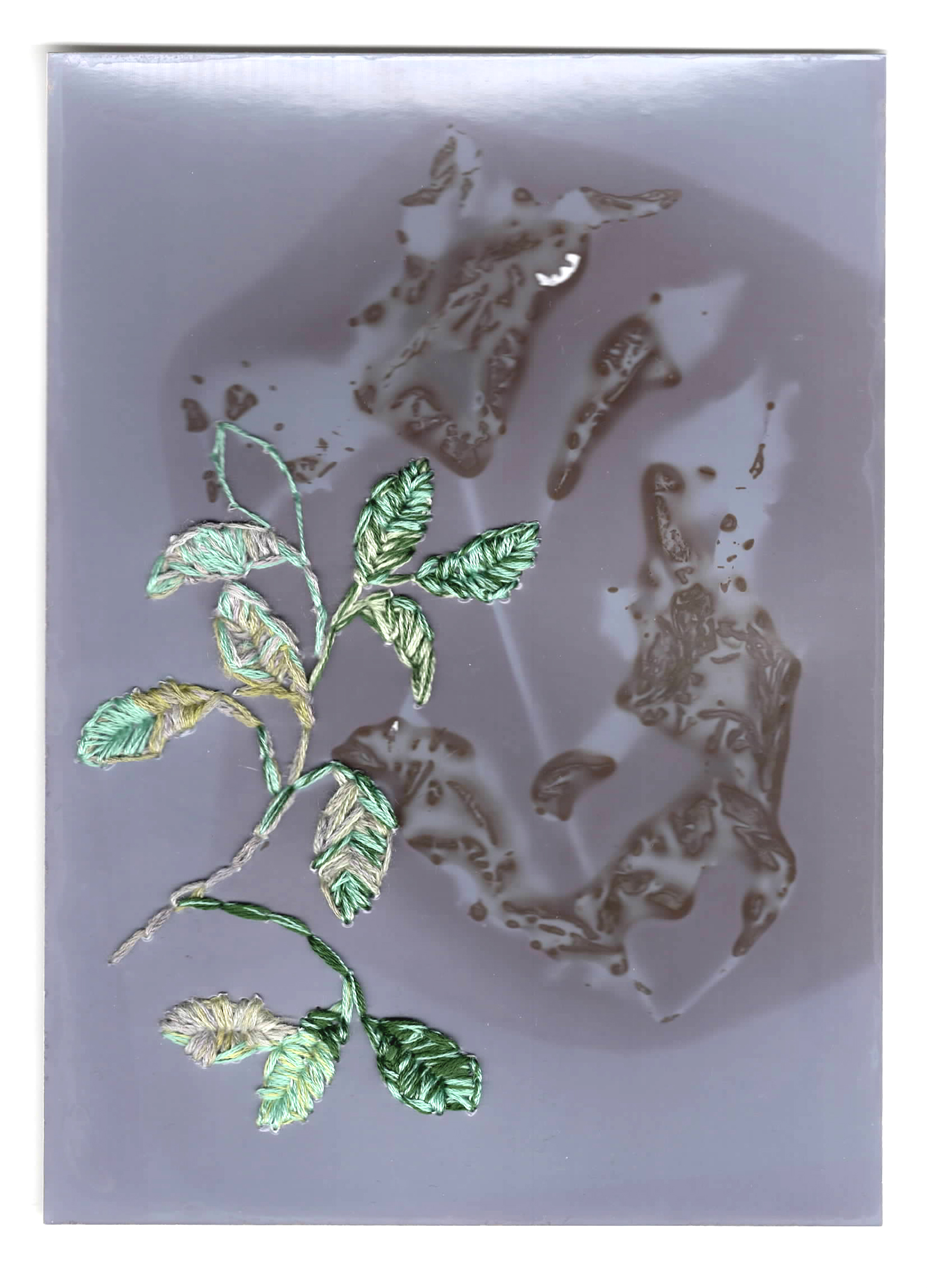 Indigo leaf phytogram