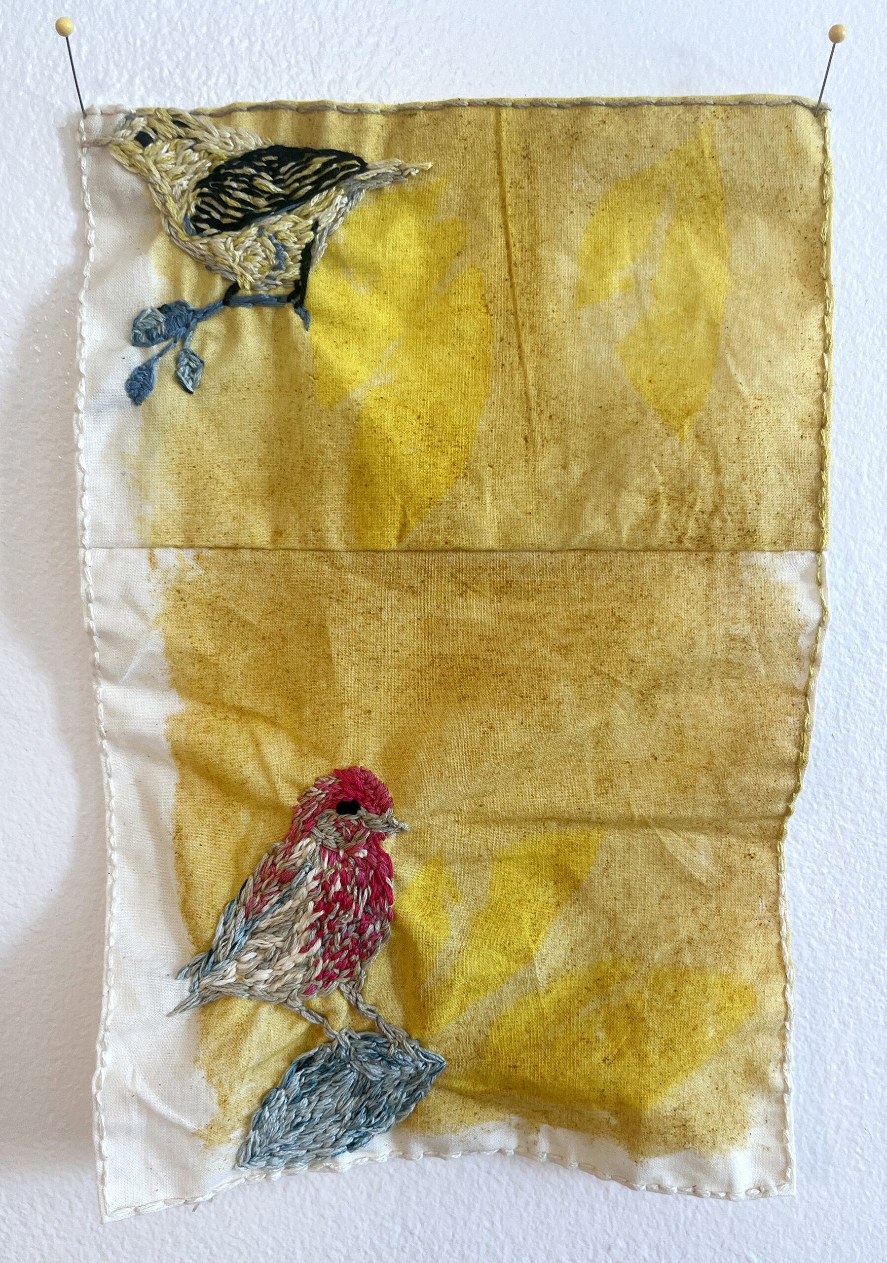 Yellow warbler; male house finch