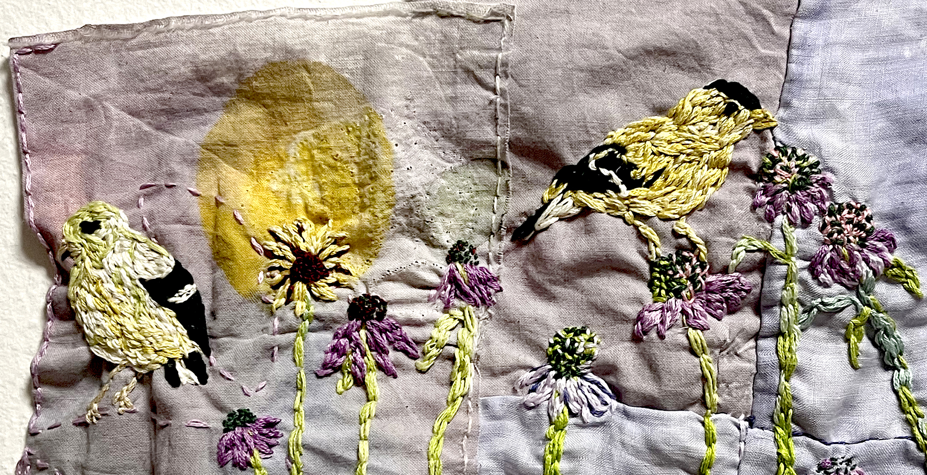 Female and male goldfinches, echinacea, rudbeckia